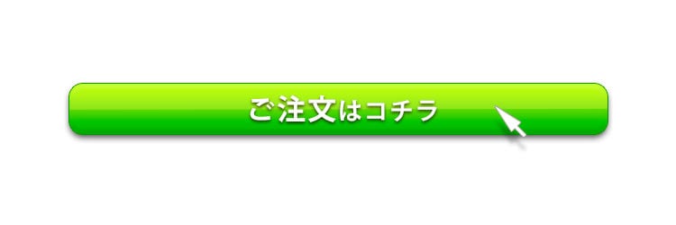 注文ボタン