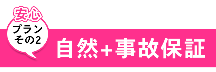自然プラス事故保証プラン